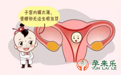 子宫内膜薄怀孕难，该怎么调理增厚？