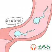 导致输卵管堵塞的原因有哪些？输卵管堵塞能自然怀孕吗？
