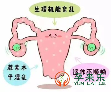 孕来乐告诉你：那几件事情最伤卵巢？