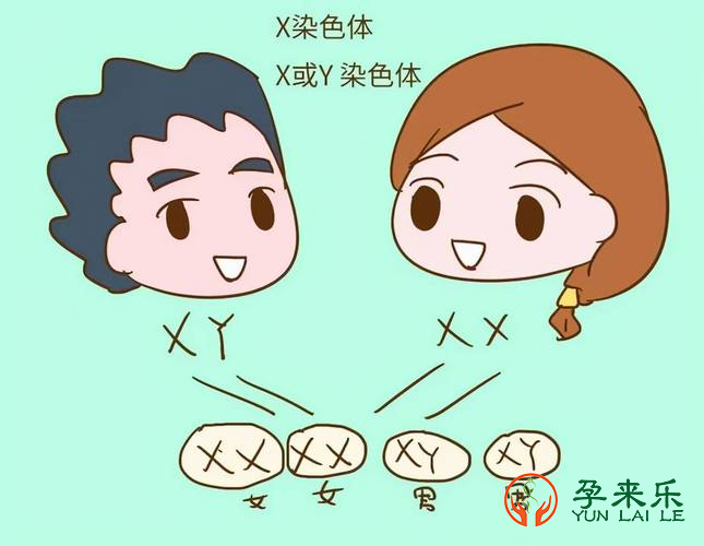 想生个儿子该怎么备孕？男的怎样调理比较容易生男孩？