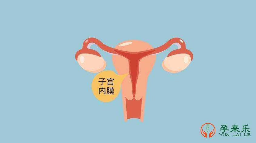 什么样子子宫内膜比较好？子宫内膜薄可以调理吗？