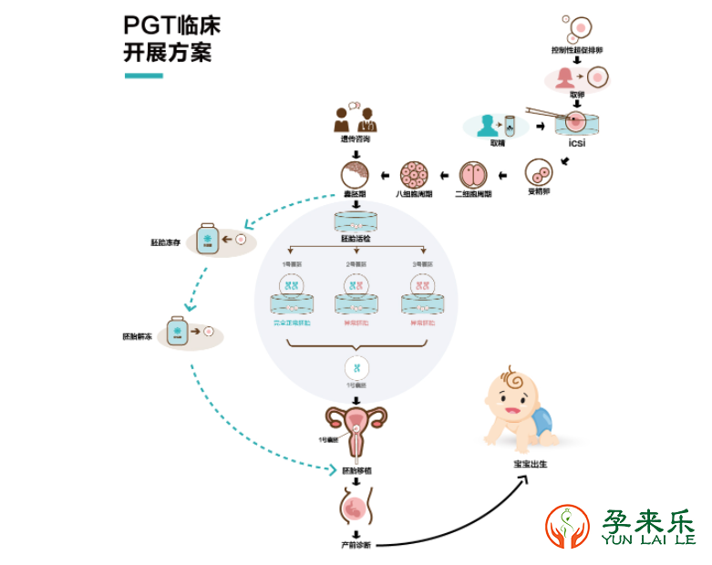 哪些需求患者可以做三代试管？三代试管费用大概是多少？