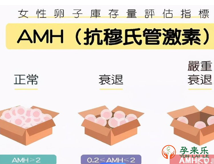 什么是AMH值？做三代试管前为什么要查AMH值？