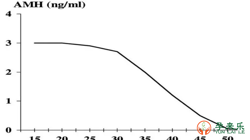 AMH与生育力的关系?AMH检查又有哪些作用呢？