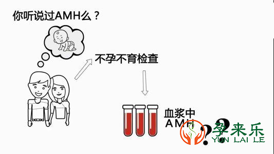 AMH值和女性生育有什么关联？年轻女性AMH过低的原因有哪些？