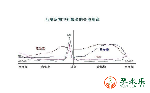 什么是激素六项？怎样解读激素六项报告？