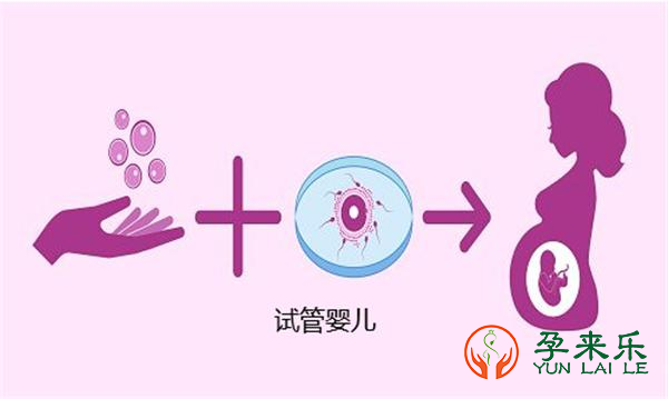 孕来乐告诉你：哪六种方法提高试管婴儿的成功率?