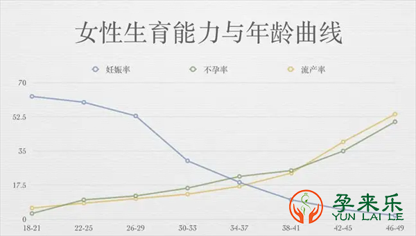 孕来乐告诉你：哪六种方法提高试管婴儿的成功率?