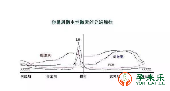 什么是激素六项？为什么做三代试管要检查激素六项？