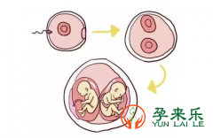 什么是三代试管技术？三代试管单胎妊娠好还是双胎妊娠好？